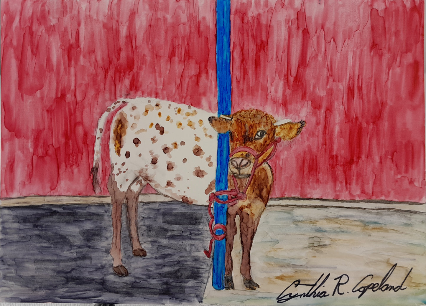 Bullcalf