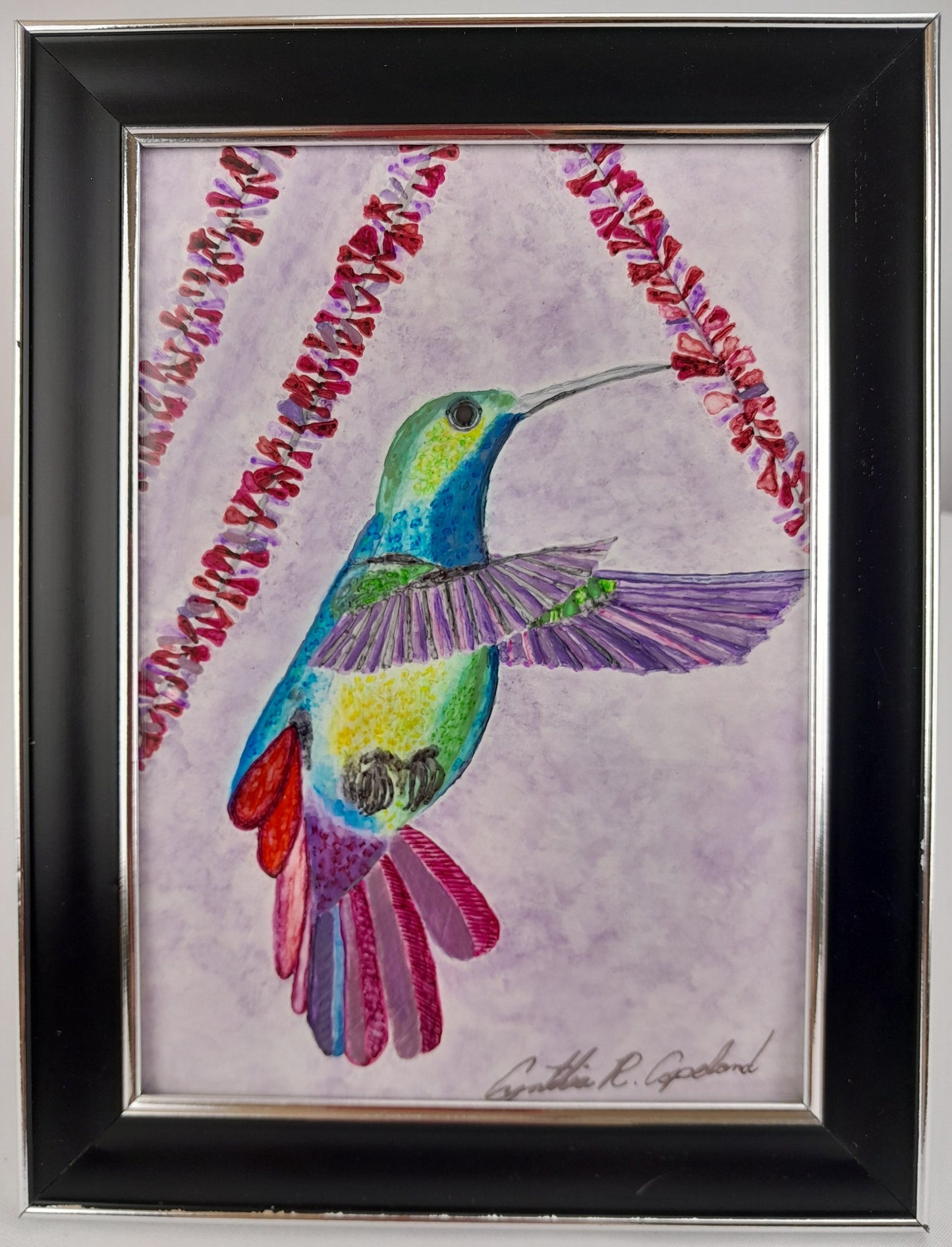 *sold* Hummingbird