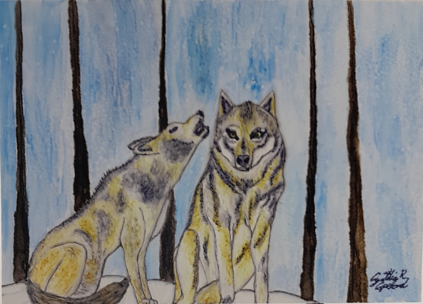 Two Wolves