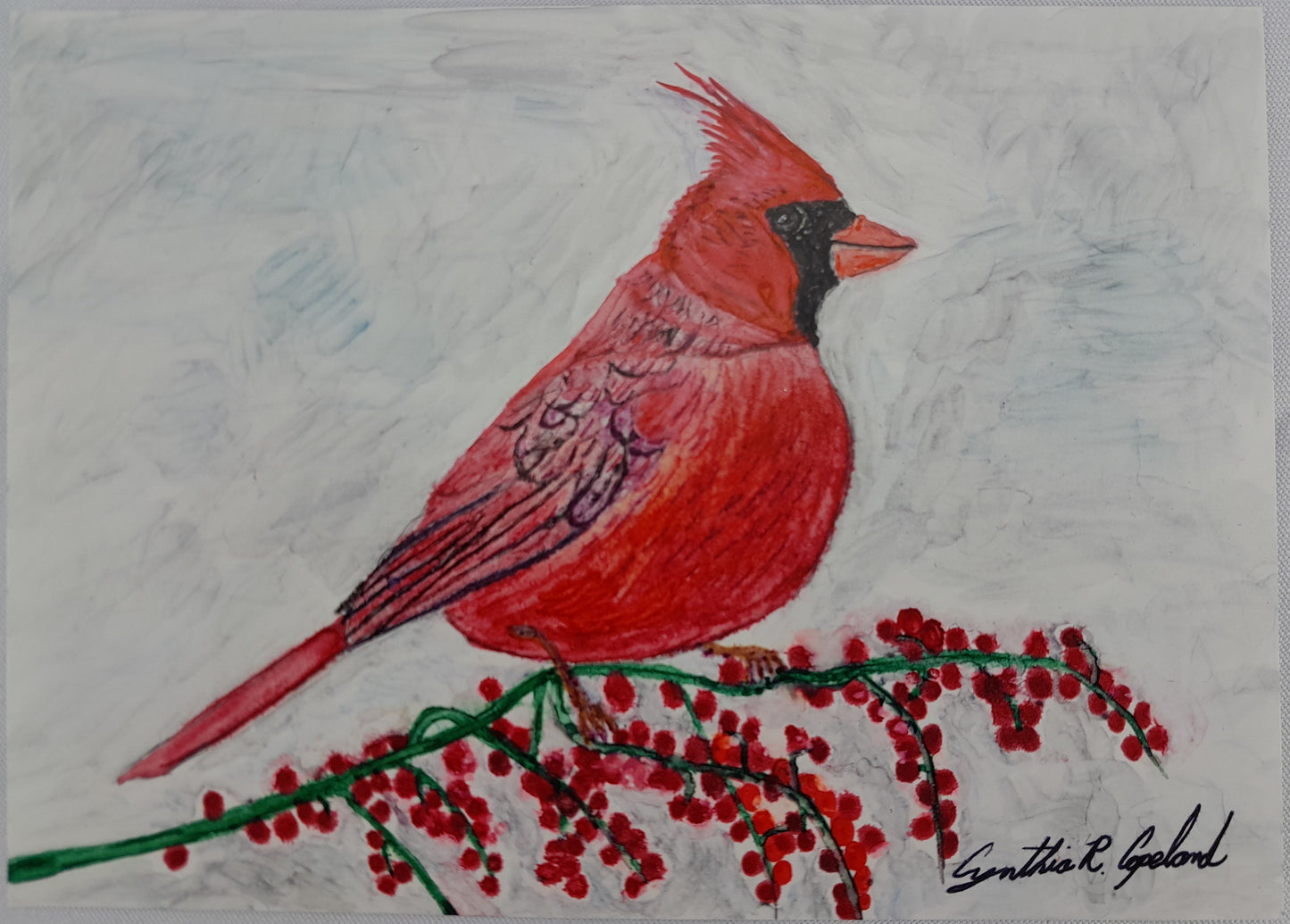 *sold* Cardinal