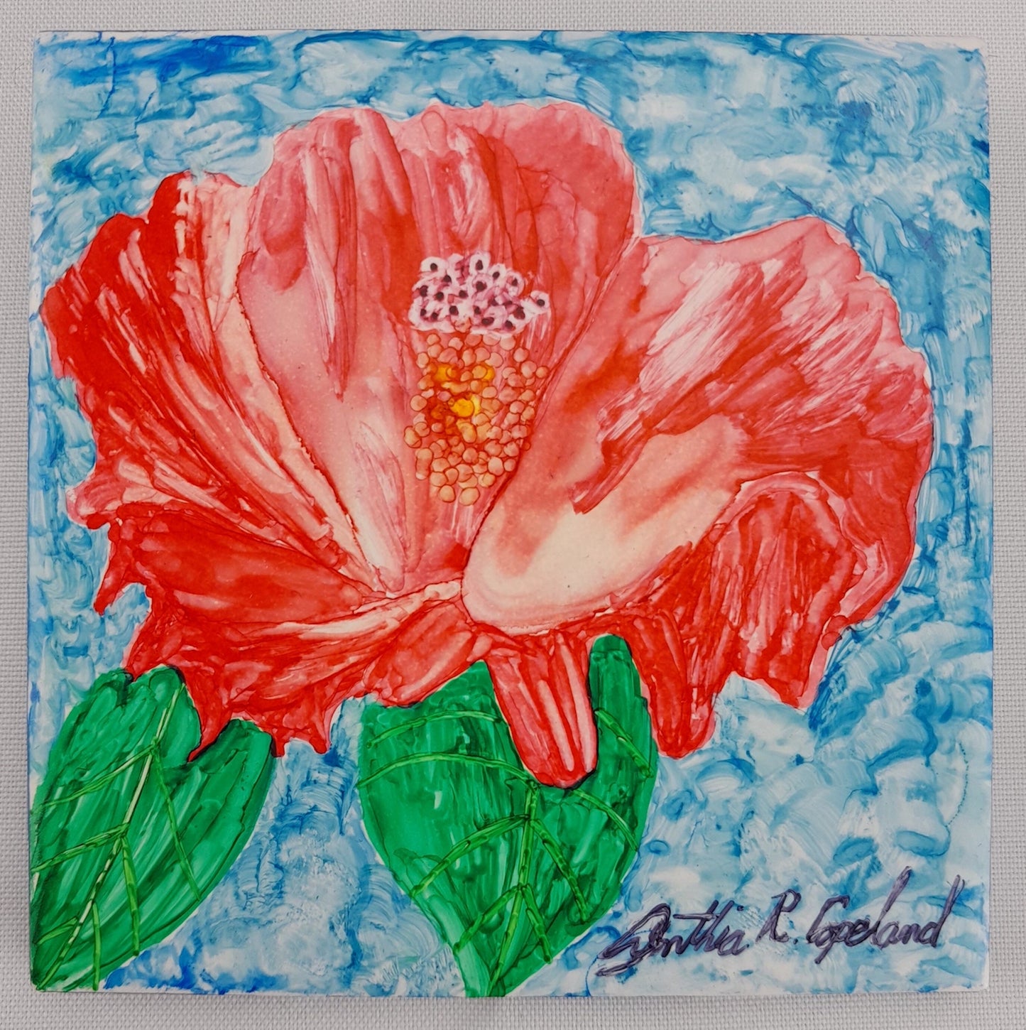 *sold* Hibiscus