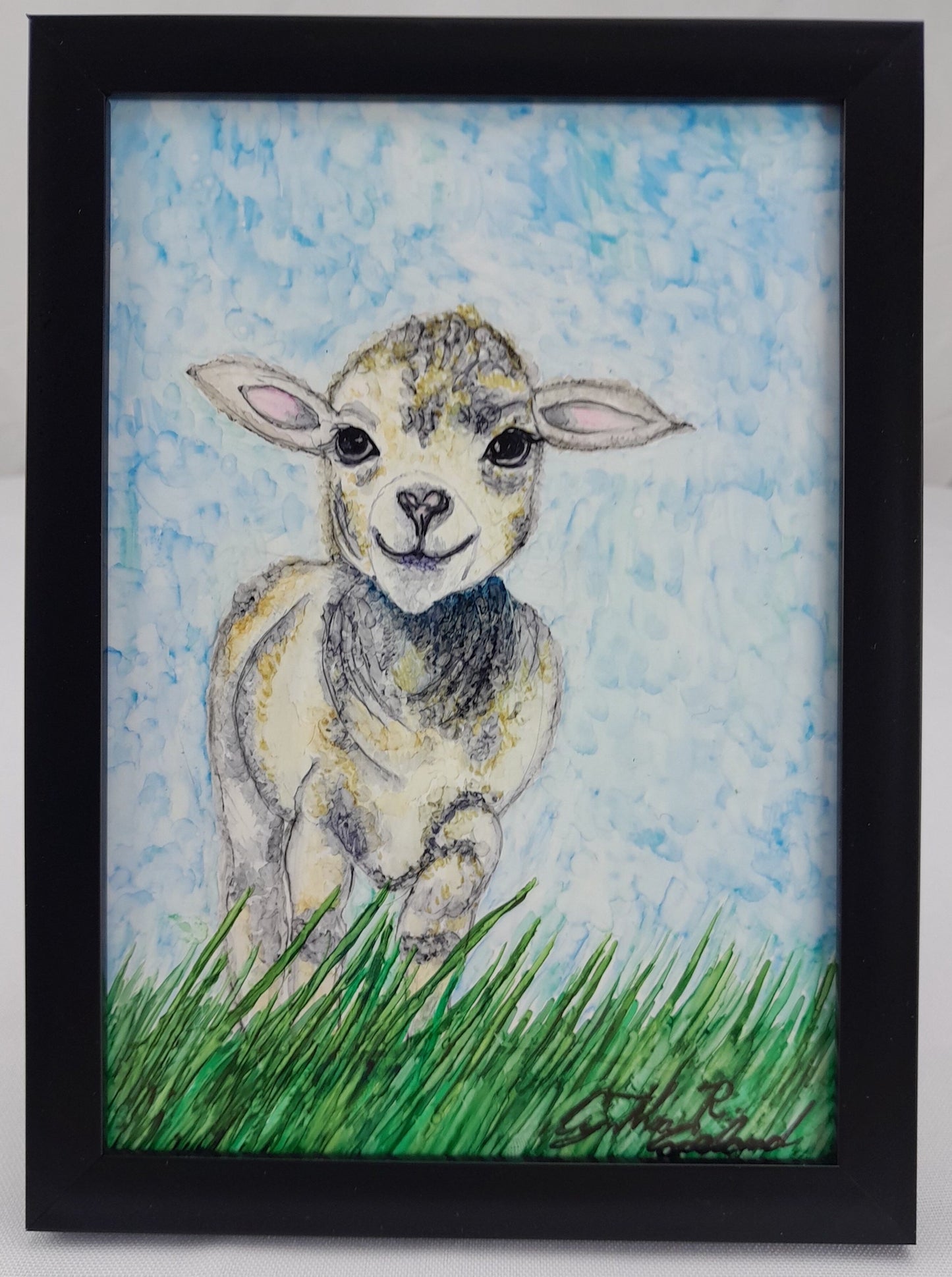 *sold* Lamb