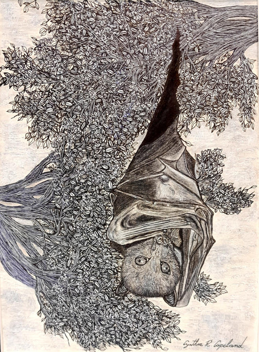 A Fruit Bat At Rest