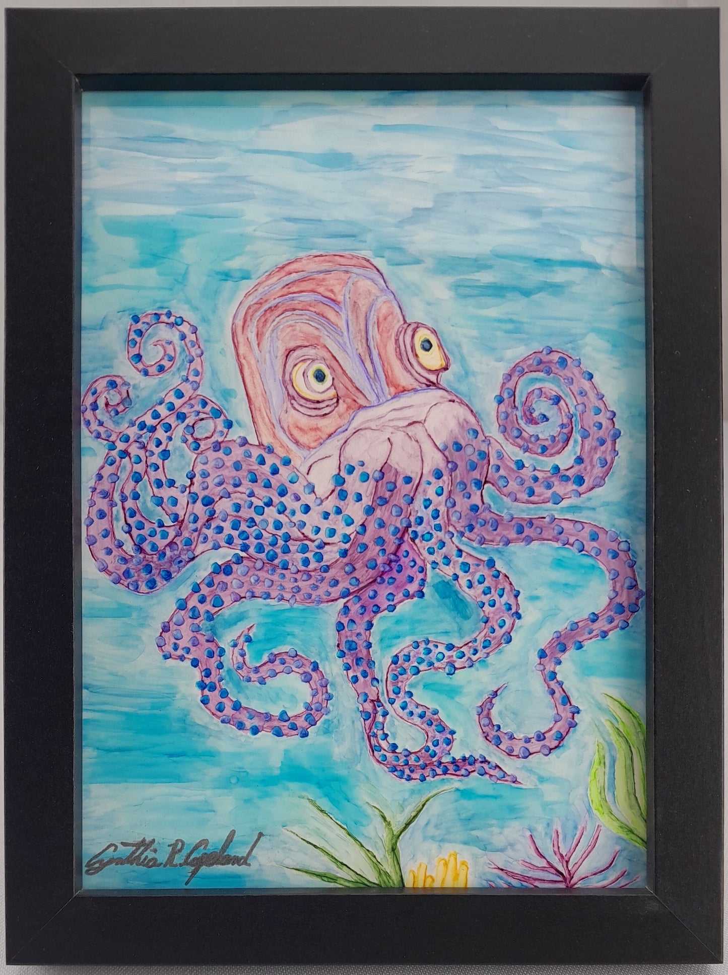 Octopus