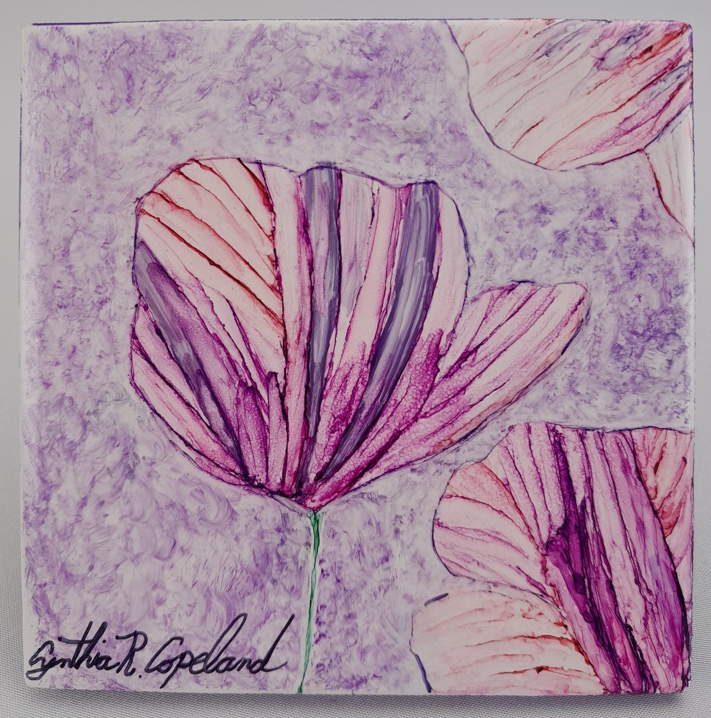 Pink & Purple Striped Flowers