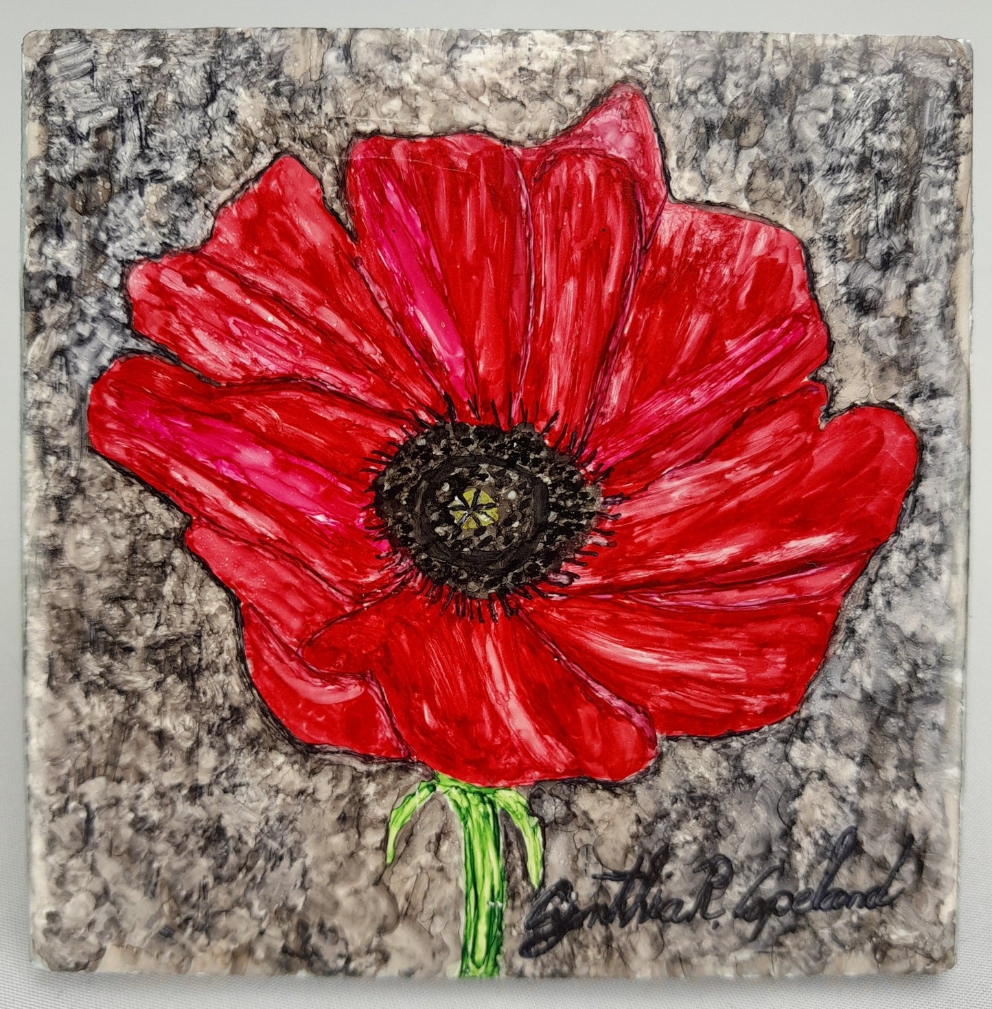 Red Poppy